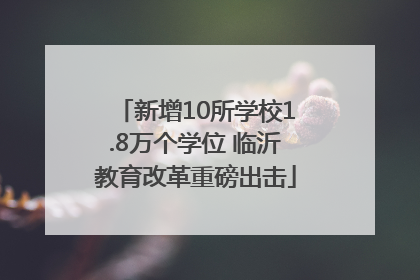 新增10所学校1.8万个学位 临沂教育改革重磅出击