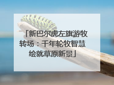 新巴尔虎左旗游牧转场：千年轮牧智慧绘就草原新景