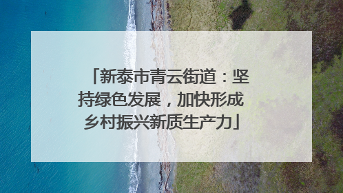 新泰市青云街道：坚持绿色发展，加快形成乡村振兴新质生产力