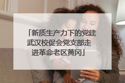 新质生产力下的党建 武汉校促会党支部走进革命老区黄冈