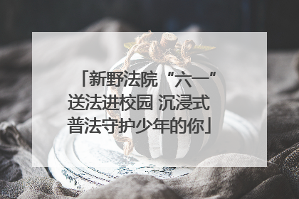 新野法院“六一”送法进校园 沉浸式普法守护少年的你
