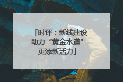 时评：新线建设助力“黄金水道”更添新活力