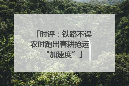 时评：铁路不误农时跑出春耕抢运“加速度”
