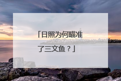 日照为何瞄准了三文鱼？