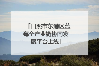 日照市东港区蓝莓全产业链协同发展平台上线
