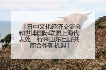 日中文化经济交流会和世博国际联盟上海代表处一行来山东巨野共商合作新机遇