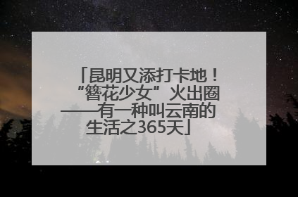 昆明又添打卡地！“簪花少女”火出圈——有一种叫云南的生活之365天