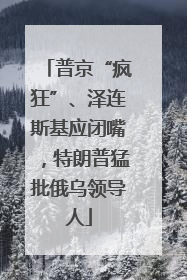 普京“疯狂”、泽连斯基应闭嘴，特朗普猛批俄乌领导人