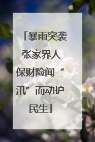 暴雨突袭 张家界人保财险闻“汛”而动护民生