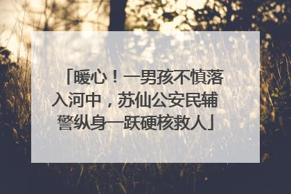 暖心！一男孩不慎落入河中，苏仙公安民辅警纵身一跃硬核救人