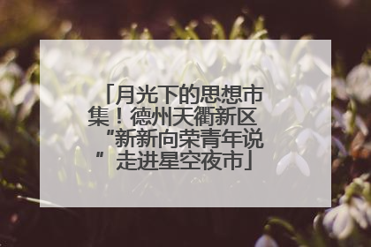 月光下的思想市集！德州天衢新区“新新向荣青年说”走进星空夜市