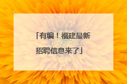 有编！福建最新招聘信息来了