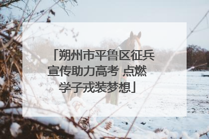 朔州市平鲁区征兵宣传助力高考 点燃学子戎装梦想