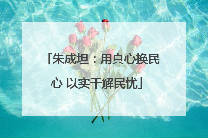 朱成坦：用真心换民心 以实干解民忧