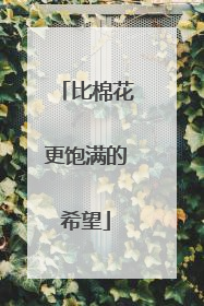 比棉花更饱满的希望