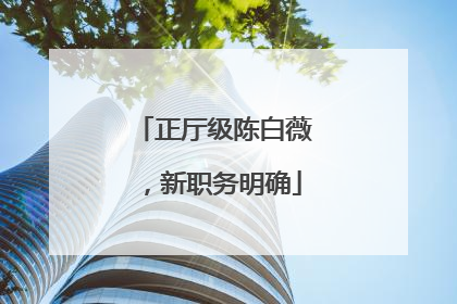 正厅级陈白薇，新职务明确
