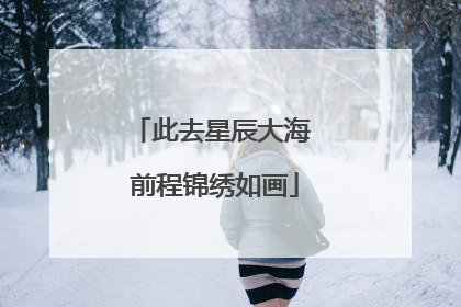 此去星辰大海 前程锦绣如画