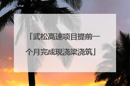武松高速项目提前一个月完成现浇梁浇筑