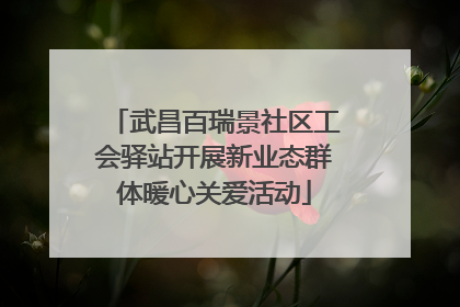 武昌百瑞景社区工会驿站开展新业态群体暖心关爱活动