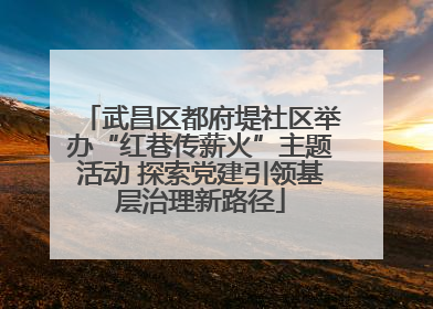 武昌区都府堤社区举办“红巷传薪火”主题活动 探索党建引领基层治理新路径