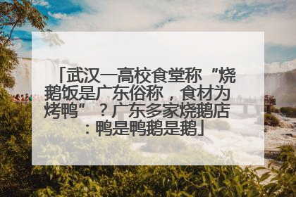 武汉一高校食堂称“烧鹅饭是广东俗称，食材为烤鸭”？广东多家烧鹅店：鸭是鸭鹅是鹅