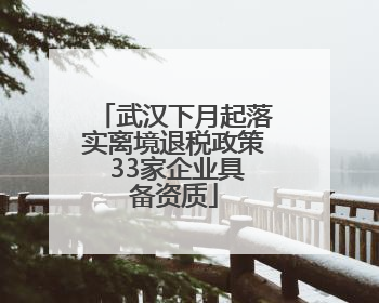 武汉下月起落实离境退税政策 33家企业具备资质