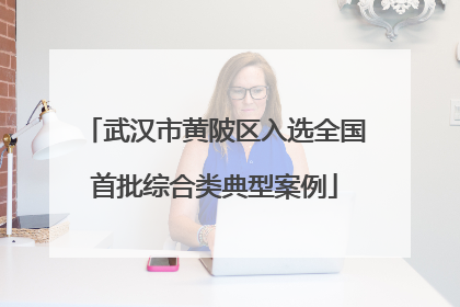 武汉市黄陂区入选全国首批综合类典型案例