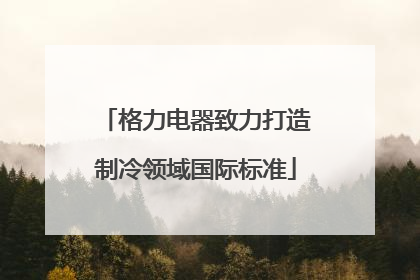 格力电器致力打造制冷领域国际标准