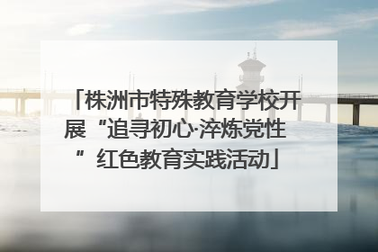 株洲市特殊教育学校开展“追寻初心·淬炼党性”红色教育实践活动