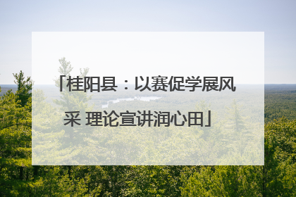 桂阳县：以赛促学展风采 理论宣讲润心田