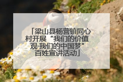 梁山县杨营镇同心村开展“我们的价值观·我们的中国梦”百姓宣讲活动