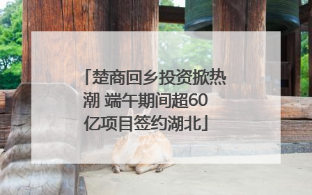 楚商回乡投资掀热潮 端午期间超60亿项目签约湖北
