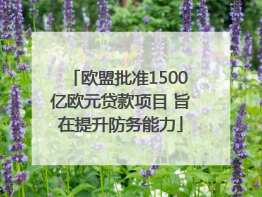欧盟批准1500亿欧元贷款项目 旨在提升防务能力