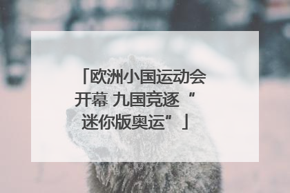 欧洲小国运动会开幕 九国竞逐“迷你版奥运”