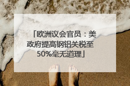 欧洲议会官员：美政府提高钢铝关税至50%毫无道理