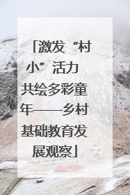 激发“村小”活力 共绘多彩童年——乡村基础教育发展观察