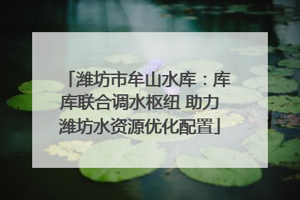 潍坊市牟山水库：库库联合调水枢纽 助力潍坊水资源优化配置