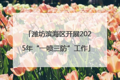 潍坊滨海区开展2025年“一喷三防”工作