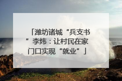 潍坊诸城“兵支书”李炜：让村民在家门口实现“就业”