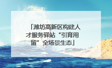 潍坊高新区构建人才服务驿站“引育用留”全场景生态