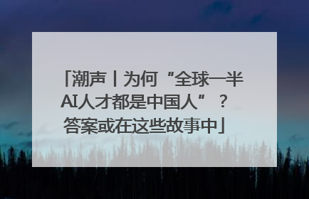 潮声丨为何“全球一半AI人才都是中国人”？答案或在这些故事中