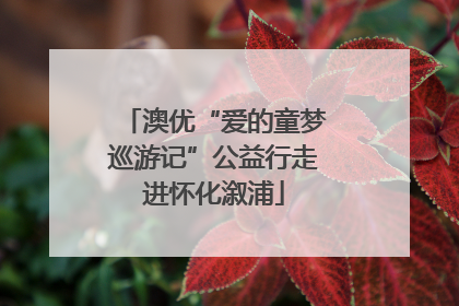澳优“爱的童梦巡游记”公益行走进怀化溆浦