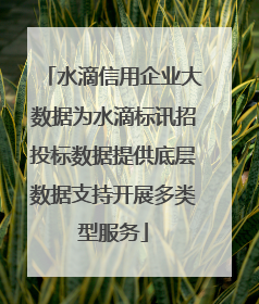 水滴信用企业大数据为水滴标讯招投标数据提供底层数据支持开展多类型服务