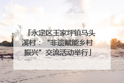 永定区王家坪镇马头溪村：“非遗赋能乡村振兴”交流活动举行