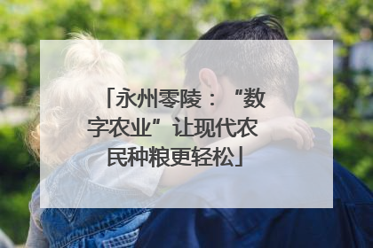 永州零陵：“数字农业”让现代农民种粮更轻松