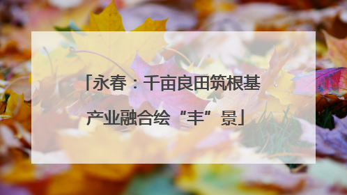 永春：千亩良田筑根基 产业融合绘“丰”景