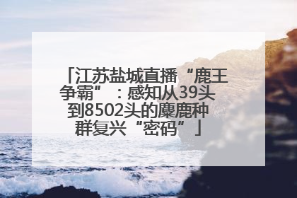 江苏盐城直播“鹿王争霸”：感知从39头到8502头的麋鹿种群复兴“密码”