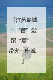 江苏盐城：“音”爱留“夏” 带火一座城