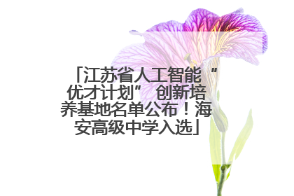 江苏省人工智能“优才计划” 创新培养基地名单公布！海安高级中学入选