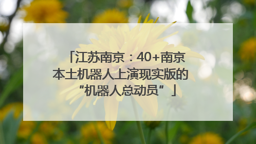江苏南京：40+南京本土机器人上演现实版的“机器人总动员”